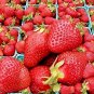 100 Pcs New Variety Rarest Square Red Strawberry F1 Seeds