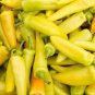 50 Pcs Hungarian Hot Yellow Wax Chili Pepper Organic Seeds