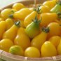 30 Pcs Yellow 'Pear' Cherry Tomato Original Pack