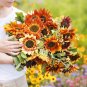 20 Pcs Beautiful Sunflower Ornamental Flower Seeds