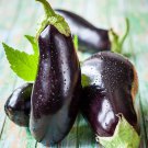 30 Pcs Heirloom Black Round Eggplant Seeds 30 Pcs Heirloom Black Round Eggplant Seeds