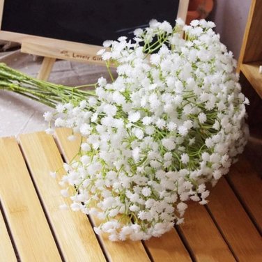 60 Pcs Babysbreath Flower Seeds