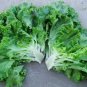 120 Pcs American Fast-growing Lettuce Seeds