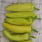 20 Pcs Organic Vegetables Yellow Peppers Seeds