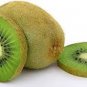 50 Pcs Mini Small Middle Large Chinese Gooseberry Kiwifruit Organic + Hybrid