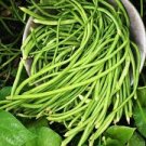 25 Pcs Green Soy Beans Cowpeas Vegetable Seeds 25 Pcs Green Soy Beans Cowpeas Vegetable Seeds