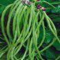 25 Pcs Green Soy Beans Cowpeas Vegetable Seeds