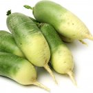 60 Pcs Green Radish Seed Best Garden Plants Vegetable Seeds 60 Pcs Green Radish Seed Best Garden Plants Vegetable Seeds