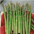 20 Pcs Organic Green Asparagus Vegetables Seeds 20 Pcs Organic Green Asparagus Vegetables Seeds