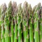 20 Pcs Organic Green Asparagus Vegetables Seeds