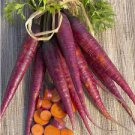 30 Pcs Heirloom Purple Carrot Vegetable Seeds 30 Pcs Heirloom Purple Carrot Vegetable Seeds