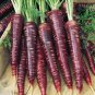 30 Pcs Heirloom Purple Carrot Vegetable Seeds