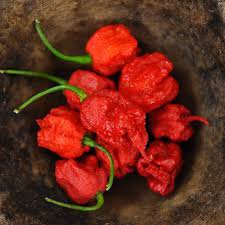10 Pcs Rare Carolina Reaper Chili Pepper Seeds