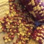 10 Pcs Heirloom Big Haierbin Colorful Sticky Corn Organic Seeds