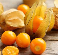 50 Pcs Fresh Perennial Physalis Cape Gooseberry Seeds Chinese Lantern