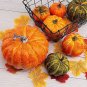 10 Pcs Heirloom China Happiness Ornamental Pumpkin Hybrid