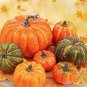 10 Pcs Heirloom China Happiness Ornamental Pumpkin Hybrid