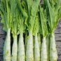 30 Pcs Heirloom Red Skin Asparagus Lettuce Vegetables
