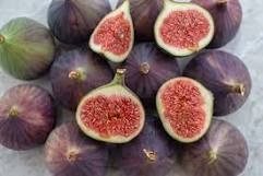 6 Pcs Giant Purple Ficus carica Fig Shrubs