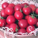 100 Pcs Sweet Treats Hybrid Pink Cherry Tomato Seeds