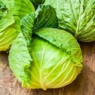 40 Pcs Heirloom Creamed Black Cabbage Vegetables Organic Seeds 40 Pcs Heirloom Creamed Black Cabbage Vegetables Organic Seeds