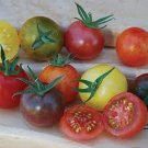 100 Pcs Super Surprise Mix Tomato Seeds