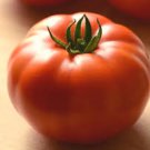 100 Pcs New Genuwine Hybrid Tomato Seeds 100 Pcs New Genuwine Hybrid Tomato Seeds