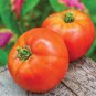 100 Pcs New Genuwine Hybrid Tomato Seeds
