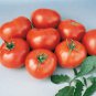100 Pcs New Genuwine Hybrid Tomato Seeds