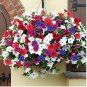 200 Pcs Heirloom Mixed Colorful Hanging Garden Petunia Flower Seeds