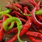 20 Pcs Heirloom Allochroic Pod Pepper Seeds 20 Pcs Heirloom Allochroic Pod Pepper Seeds