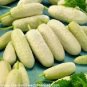 10 Pcs Cucumber Long White Wonder Seeds