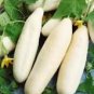 10 Pcs Cucumber Long White Wonder Seeds