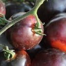 25 Pcs Chocolate Bright Tomato Seeds, Heirloom Tasty Tomato Fruit