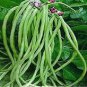20 Pcs Chinese Green Long Cowpea Vegetable Seeds