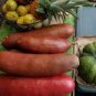 10 Pcs Heirloom New Cassabanana Sicana Odorifera