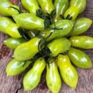30 Pcs Green 'Banana' Tomato Seeds, Heirloom Tasty Tomato Vegetables
