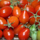 25 Pcs Red 'Pear' Small Tomato Seeds, Heirloom Tasty Tomato Vegetables