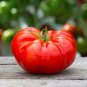 100 Pcs 'Sami' Big Bright Red Tomato Hybrid F1 Fruit Seeds