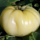 100 Pcs Rare Belyy Giant White Beefsteak Tomato Seeds