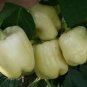 8 Pcs White Sweet Bell Pepper Seeds, Non-gmo Edible Vegetables