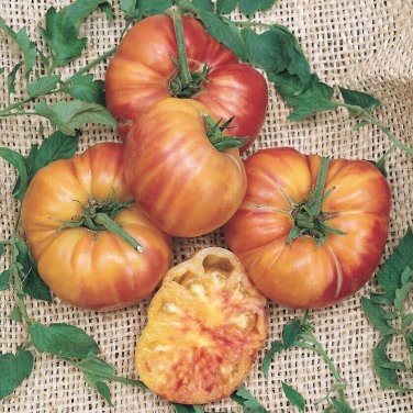 100 Pcs 'Old German' Rare Organic Heirloom Tomato Seeds