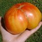 100 Pcs 'Old German' Rare Organic Heirloom Tomato Seeds