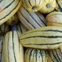 10 Pcs Delicata Little Sweet Squash Organic Seeds