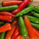 100 Pcs Rare Serrano Chili Pepper Heirloom Seeds 100 Pcs Rare Serrano Chili Pepper Heirloom Seeds