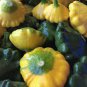 8 Pcs Mix Scalloped Patty Pan UFO Squash Seeds