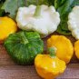 8 Pcs Mix Scalloped Patty Pan UFO Squash Seeds