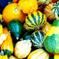8 Pcs 'Diamon' Pumpkin Ornamental Edible Vegetable Seeds
