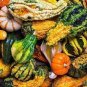 10 Pcs Mixed Doll Pumpkin Ornamental Vegetables Edible Seeds