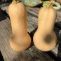 10 Pcs Heirloom Waltham Butternut White Winter Squash Organic